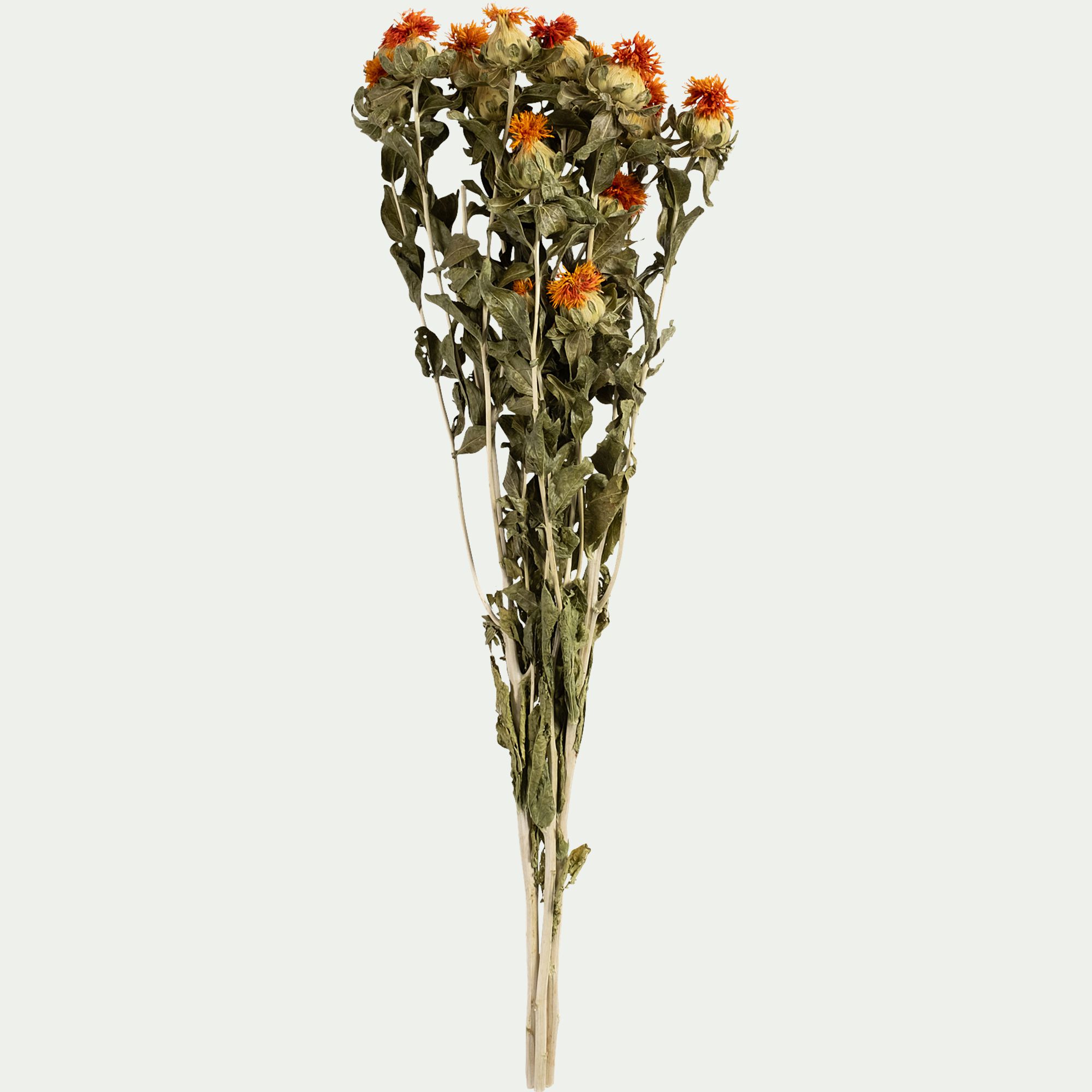 FLORALIE - Botte de bidens séchée H55cm - orange