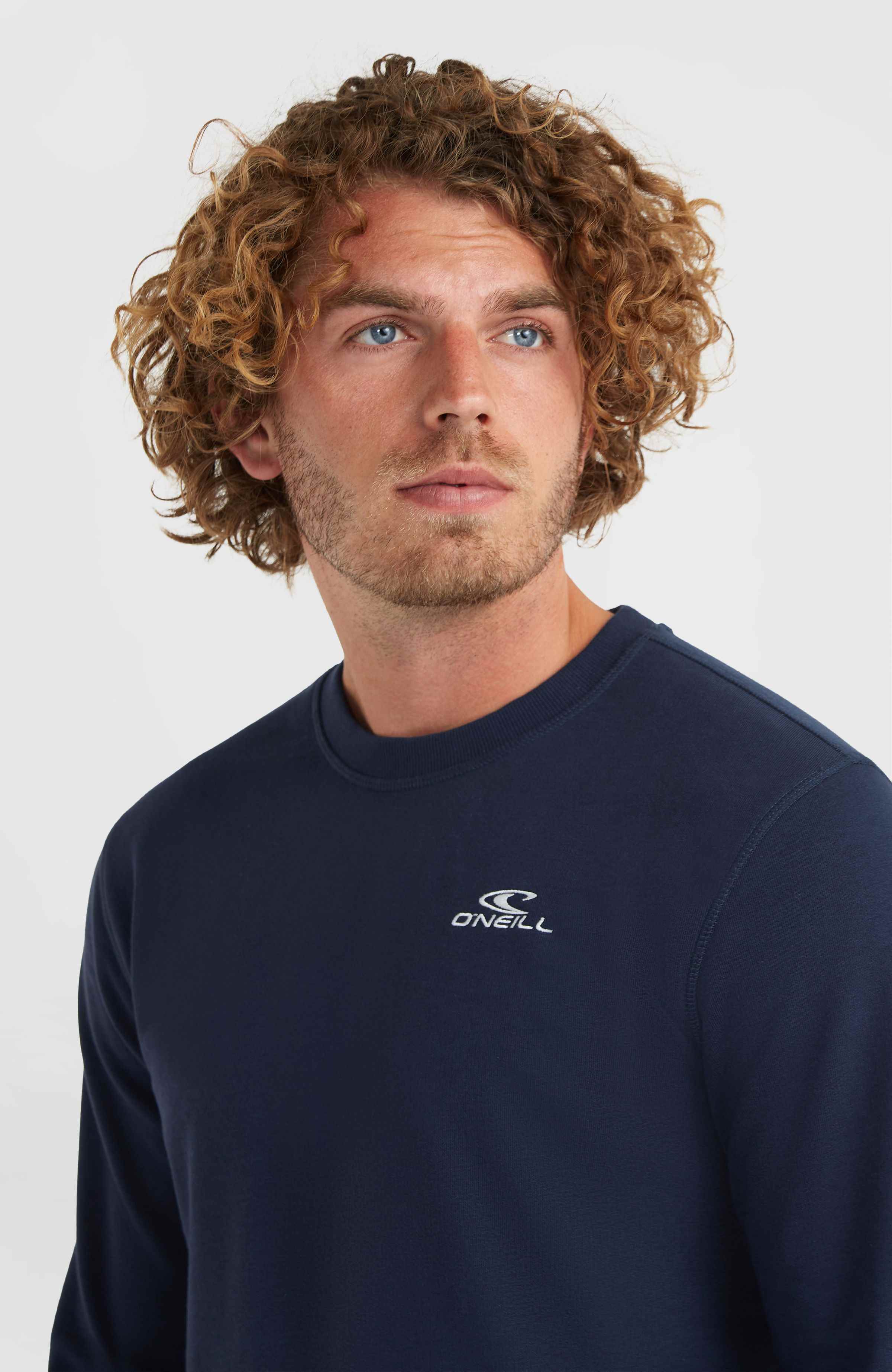 Heren O'Neill Small Logo Crew sweater