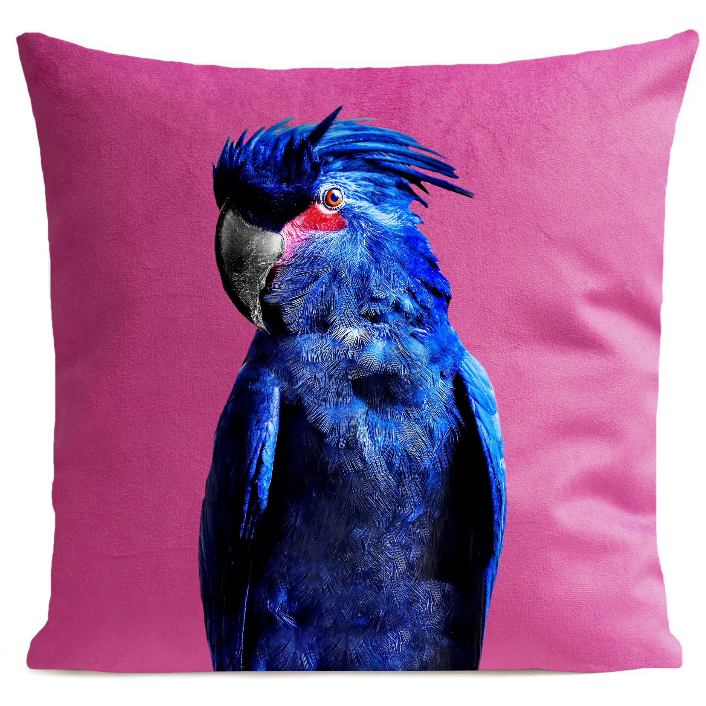 - Coussin tropical oiseau perroquet suédine rose 40x40cm