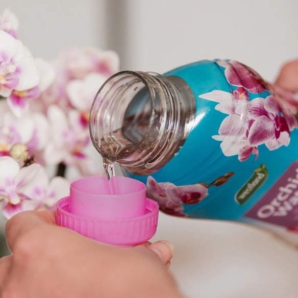Orchideendünger, Orchideenwasser, 750 ml