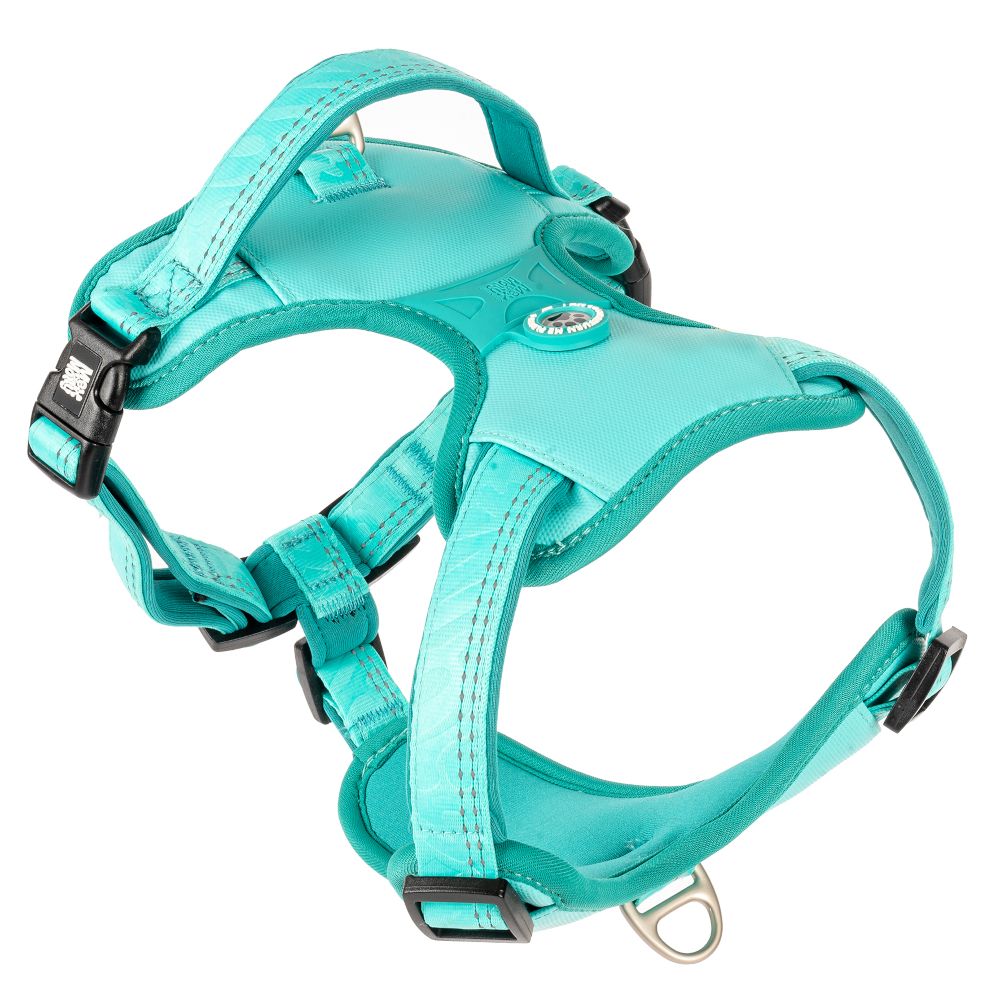 Max & Molly Sports Harness Matrix 2.0 - Turquoise
