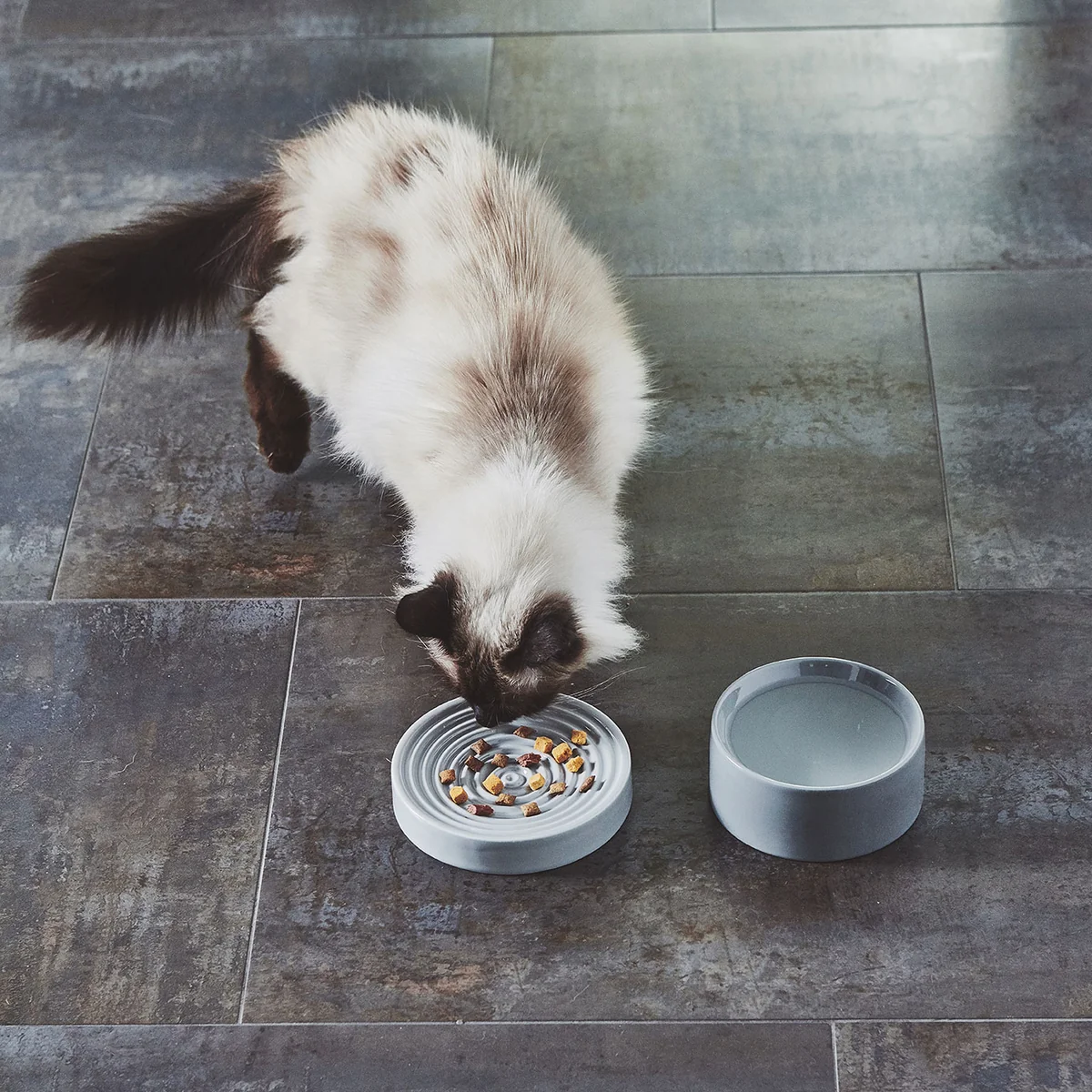 MiaCara - Piatto Katzennapf S, nougat