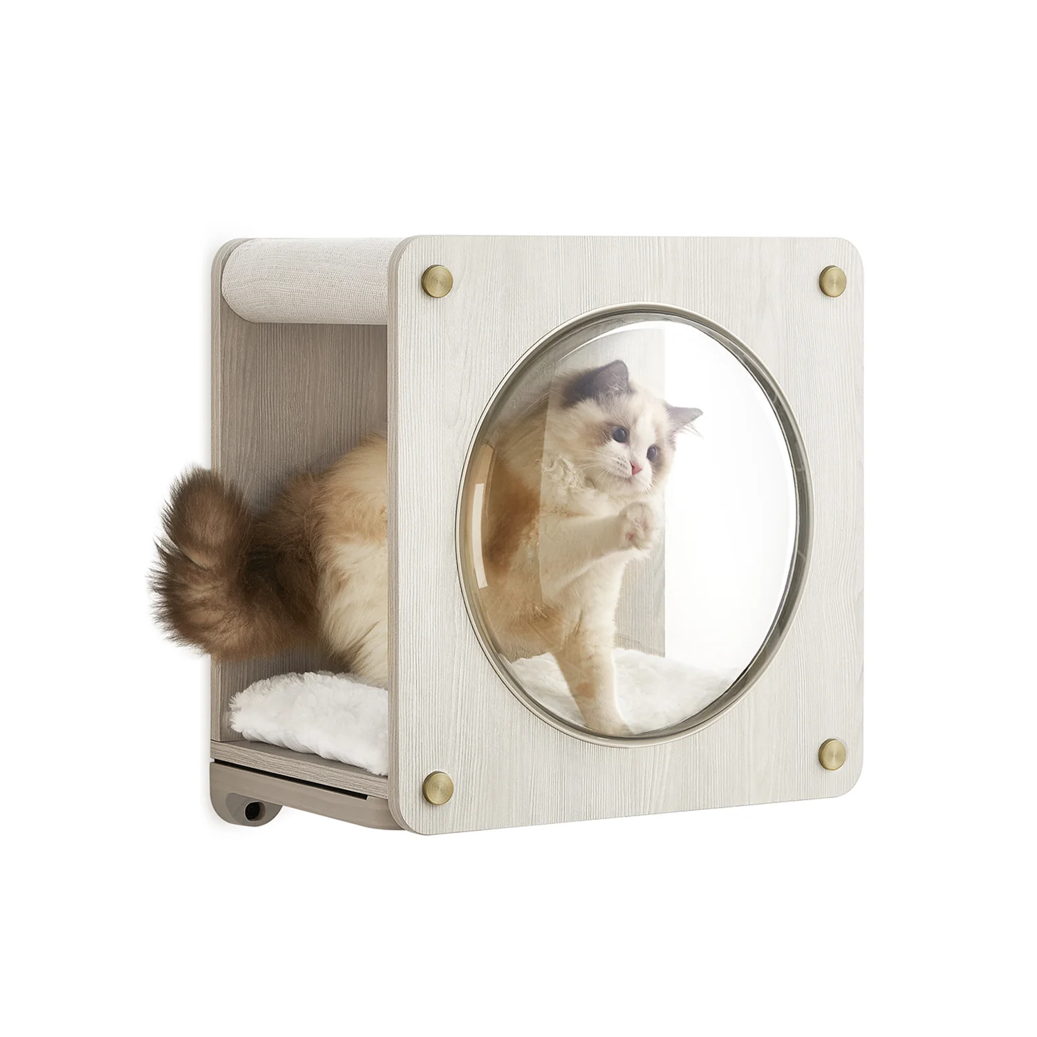 Niche pour chat murale avec fenêtre d'observation
