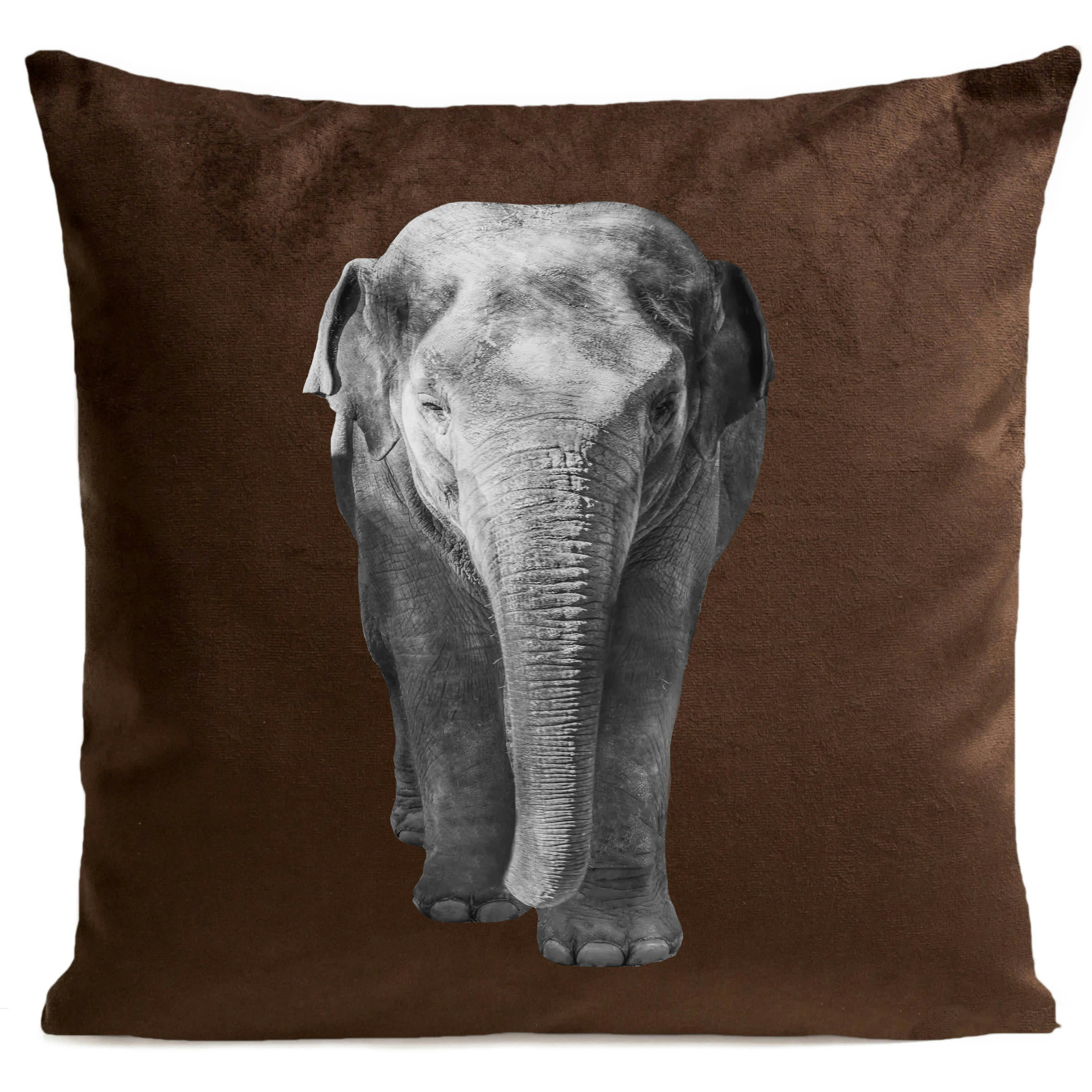 - Coussin déco elephant suédine marron 40x40cm