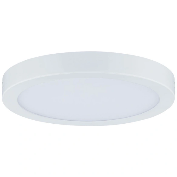 LED-Deckenleuchte »Abia«, inkl. Leuchtmittel in warmweiß