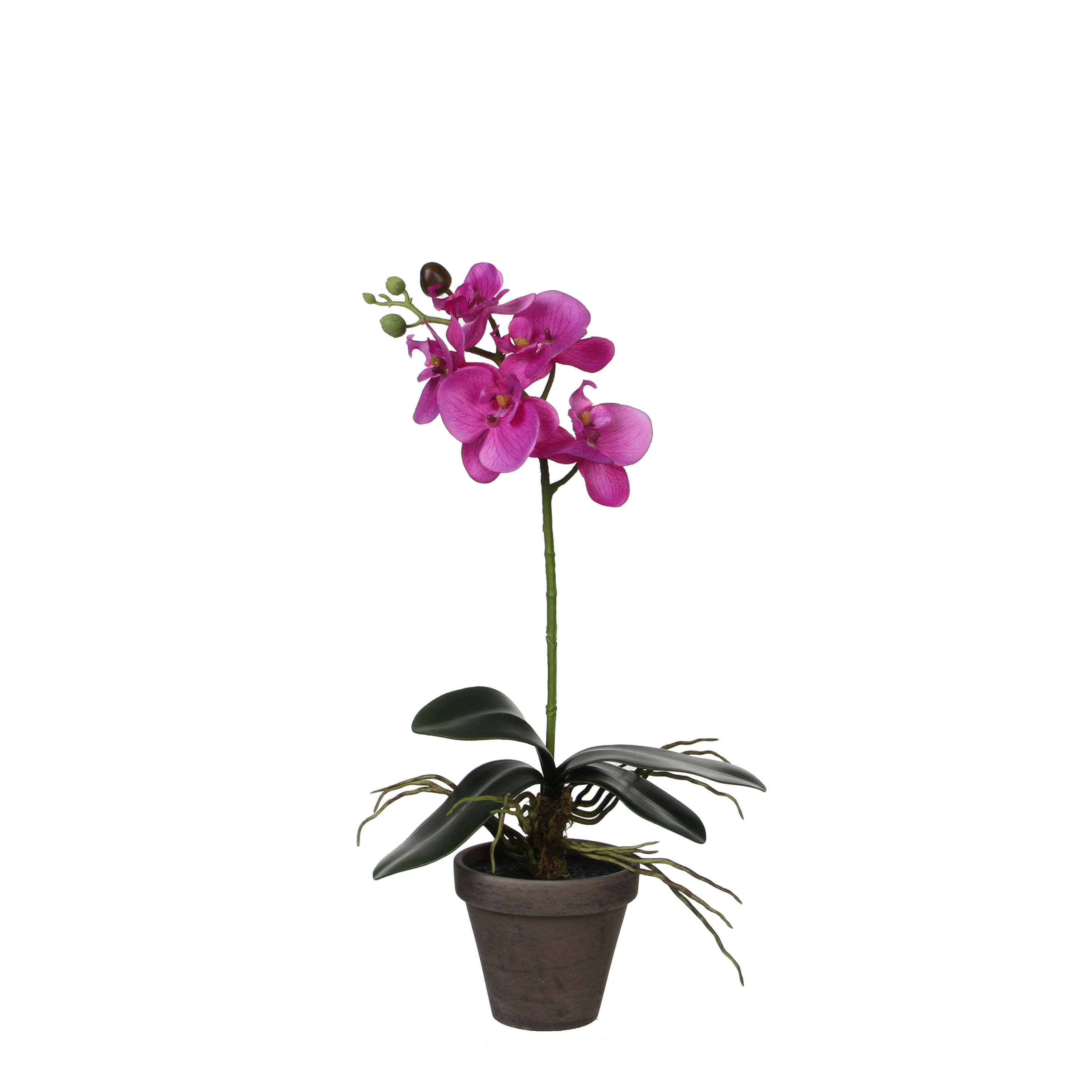 - Orchidée artificielle violet en pot H48