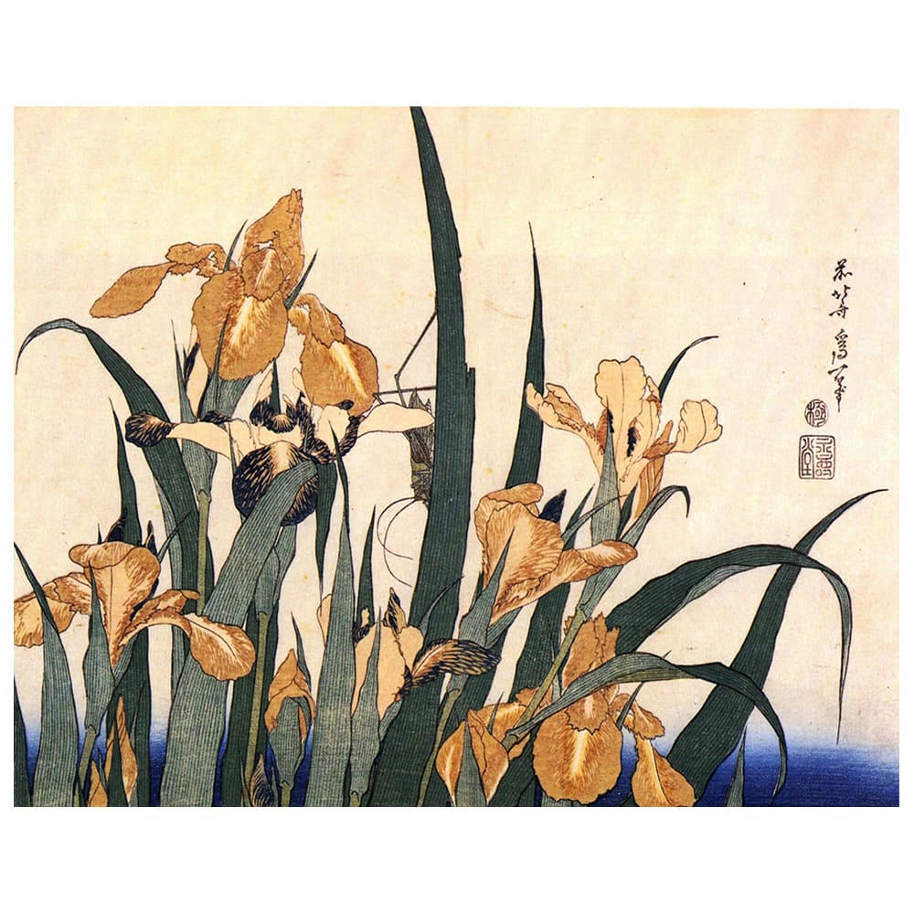 - Tableau Iris et Sauterelle Katsushika Hokusai 50x60cm