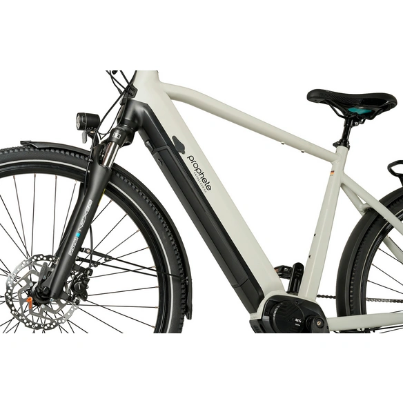 E-Bike, »ENTDECKER 5.0«, 28 Zoll, 10 Gänge, grau matt