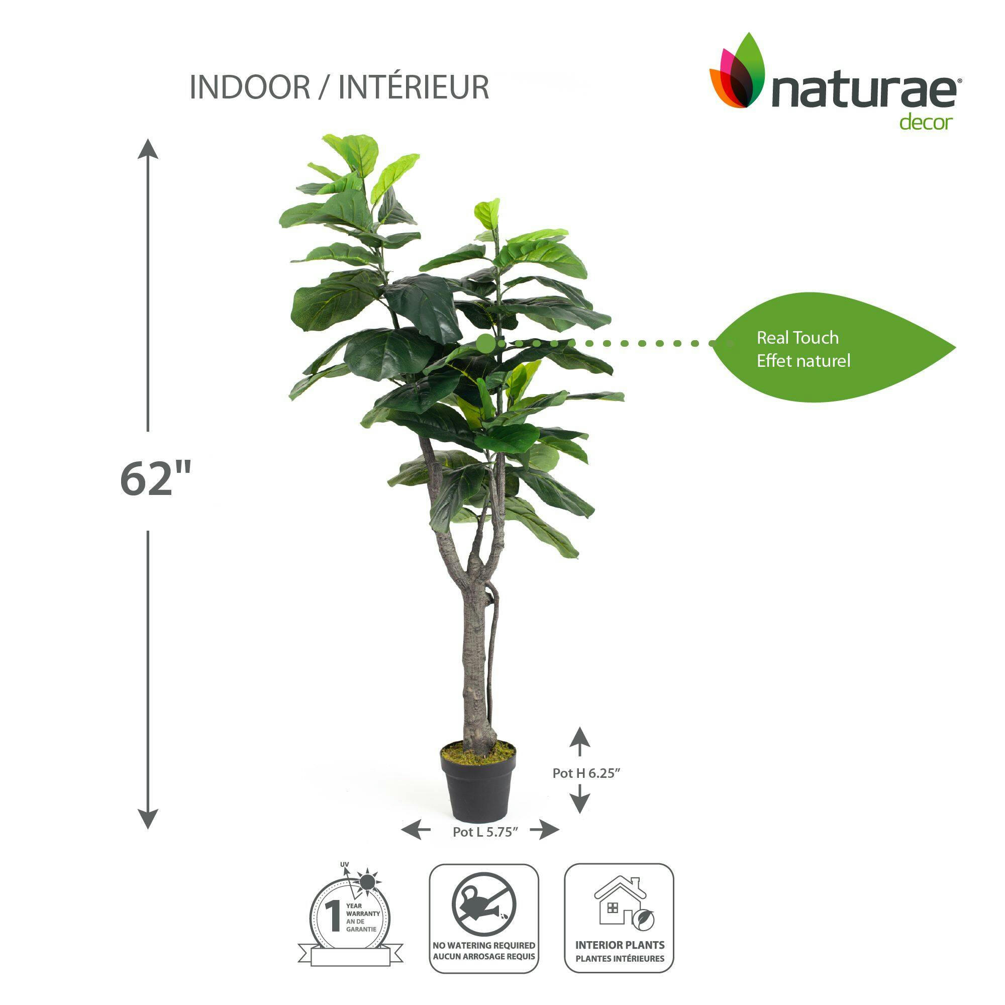 Naturae Décor Artificial Indoor/Outdoor Fiddle Leaf Tree in Black Pot, 63-in