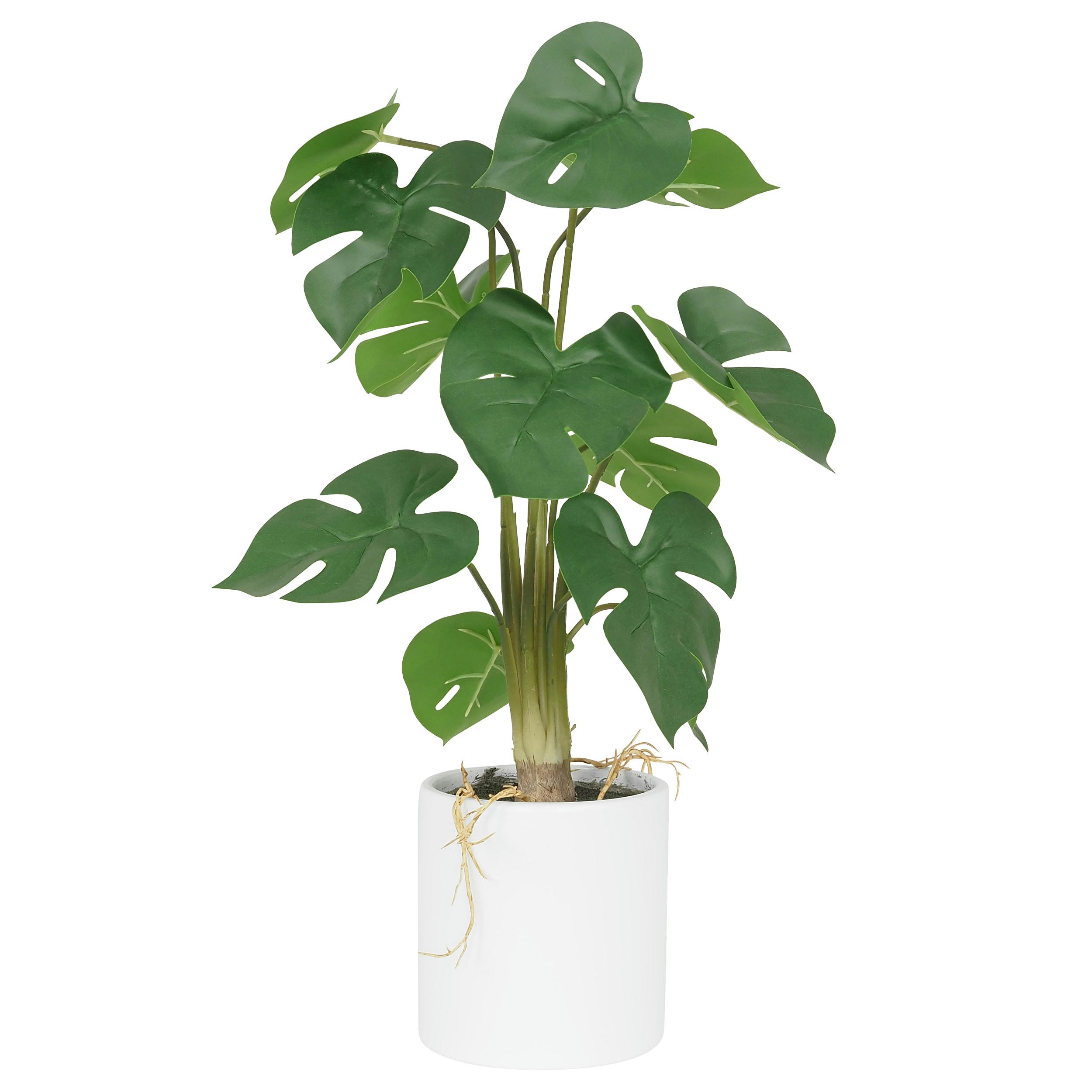 - Monstera artificiel en pot céramique blanc 50cm