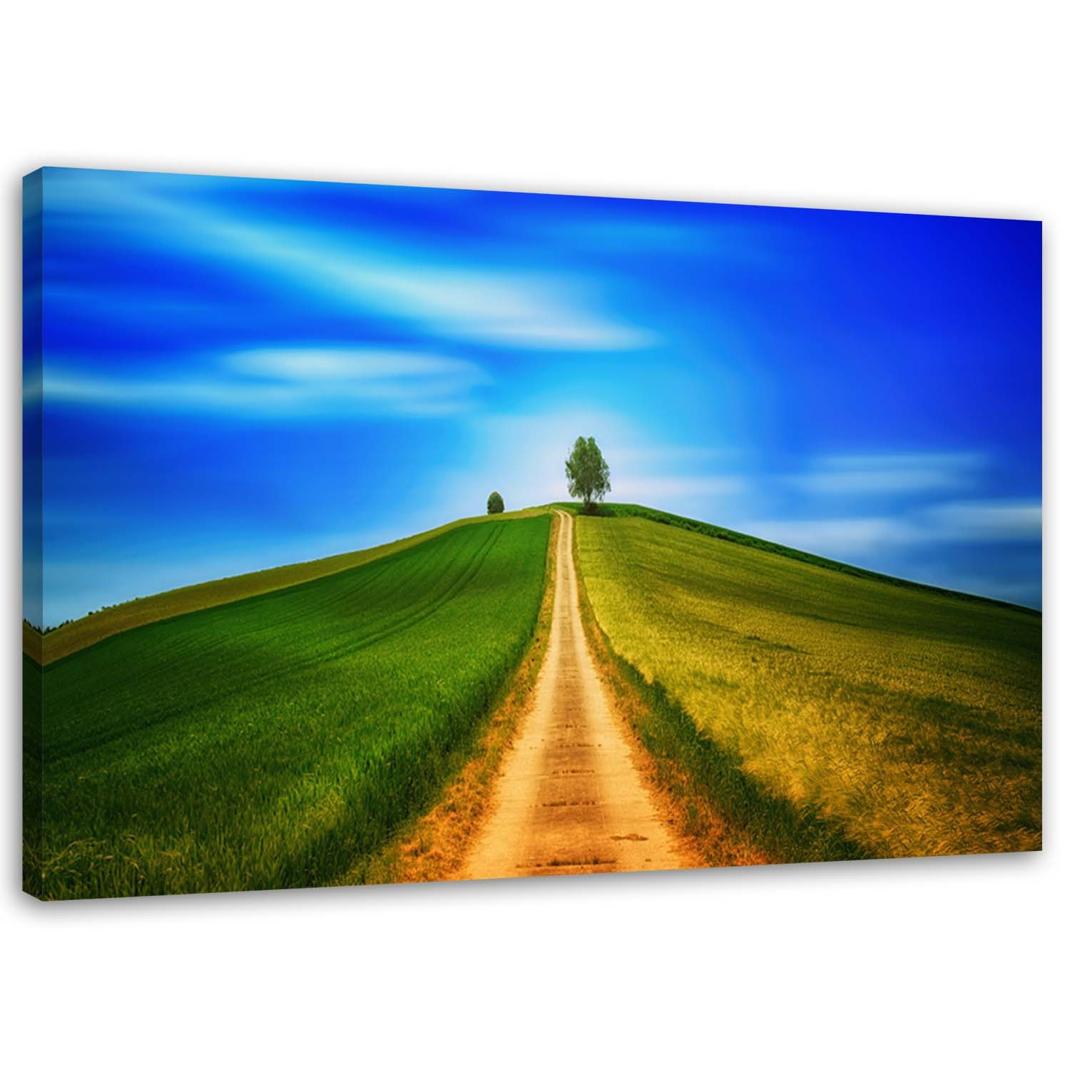 Feeby Obraz na płótnie Droga na wzgórze pejzaż 60x40