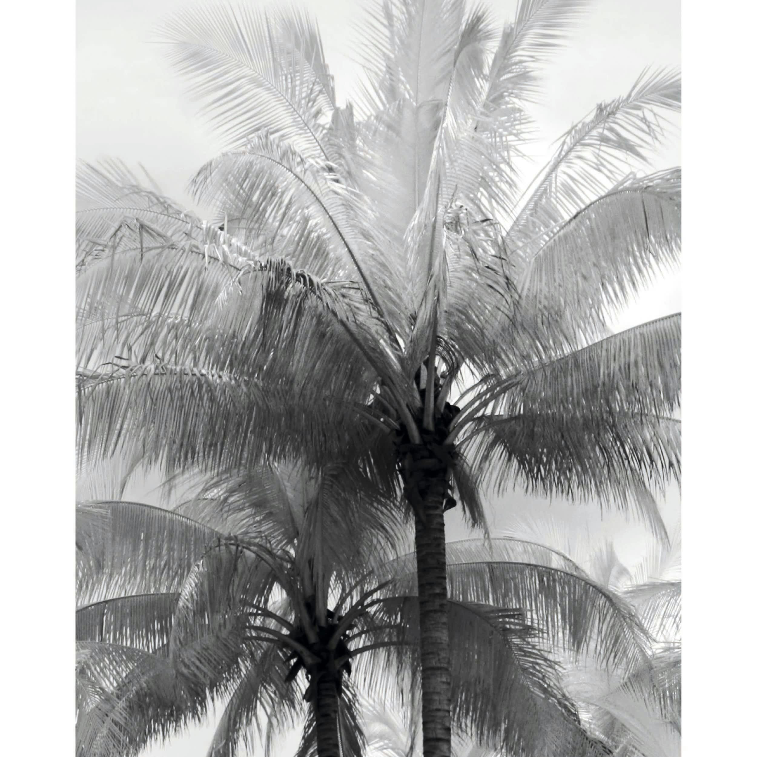 PLAYA - Poster en papier noir et blanc 40x50 cm