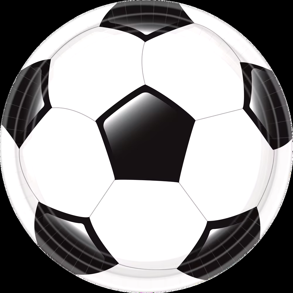 Soccer Round Paper Disposable Dinner Plates, Black/White, 10.5-in, 18-pk, for Sports Party