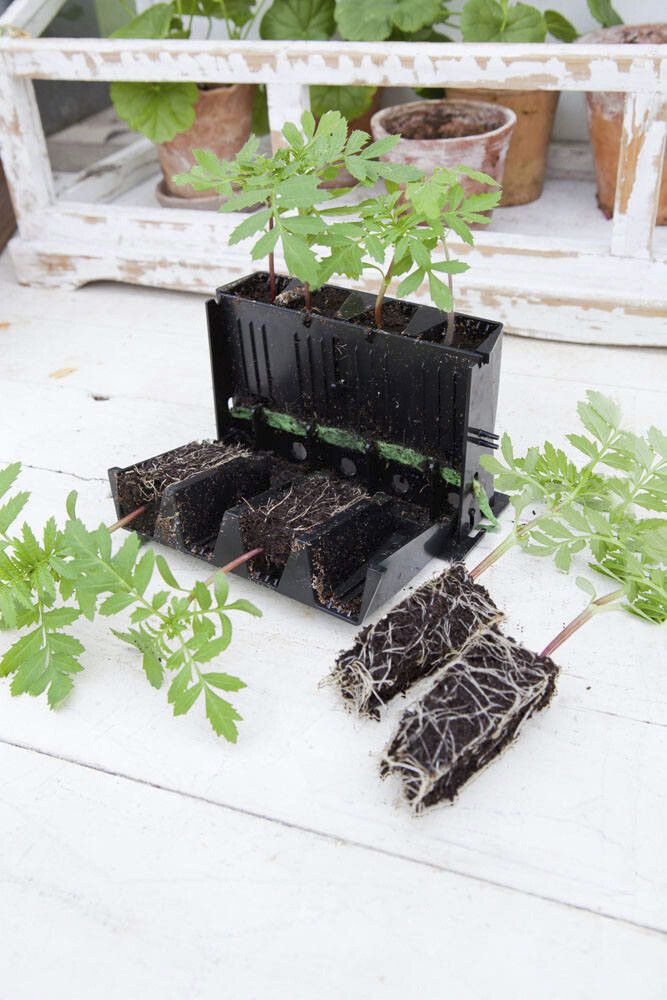 MINIDRIVHUS NELSON GARDEN ROOTMASTER
