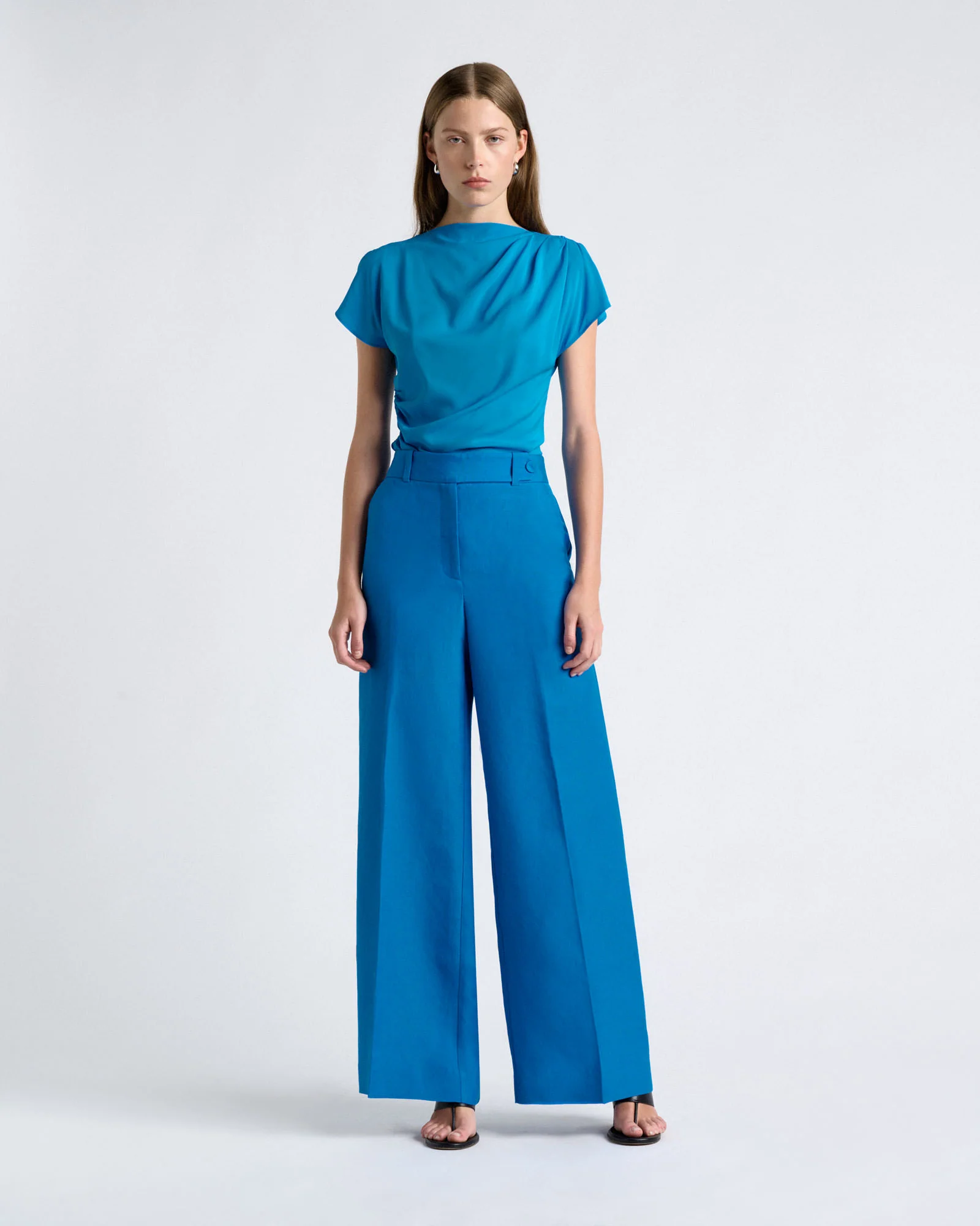 Lustre Linen Blend Wide Leg Pant