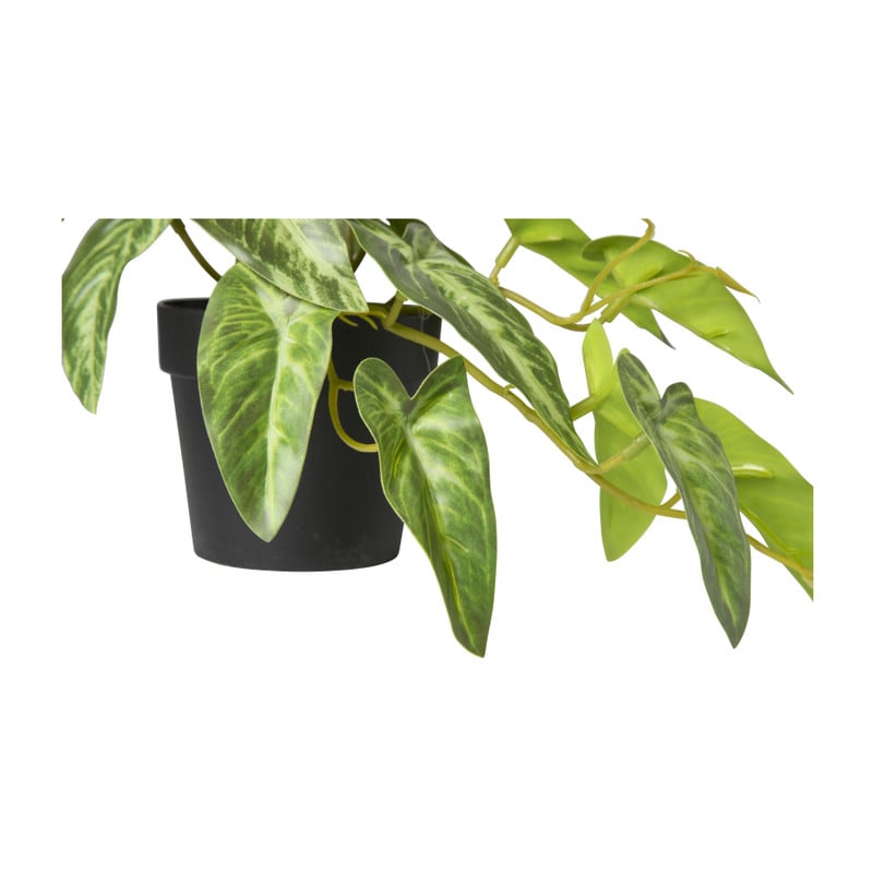 Kunstplant syngonium - 17 cm