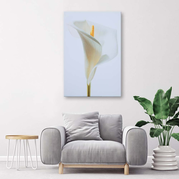 Feeby Obraz na płótnie Biała kalia 40x60