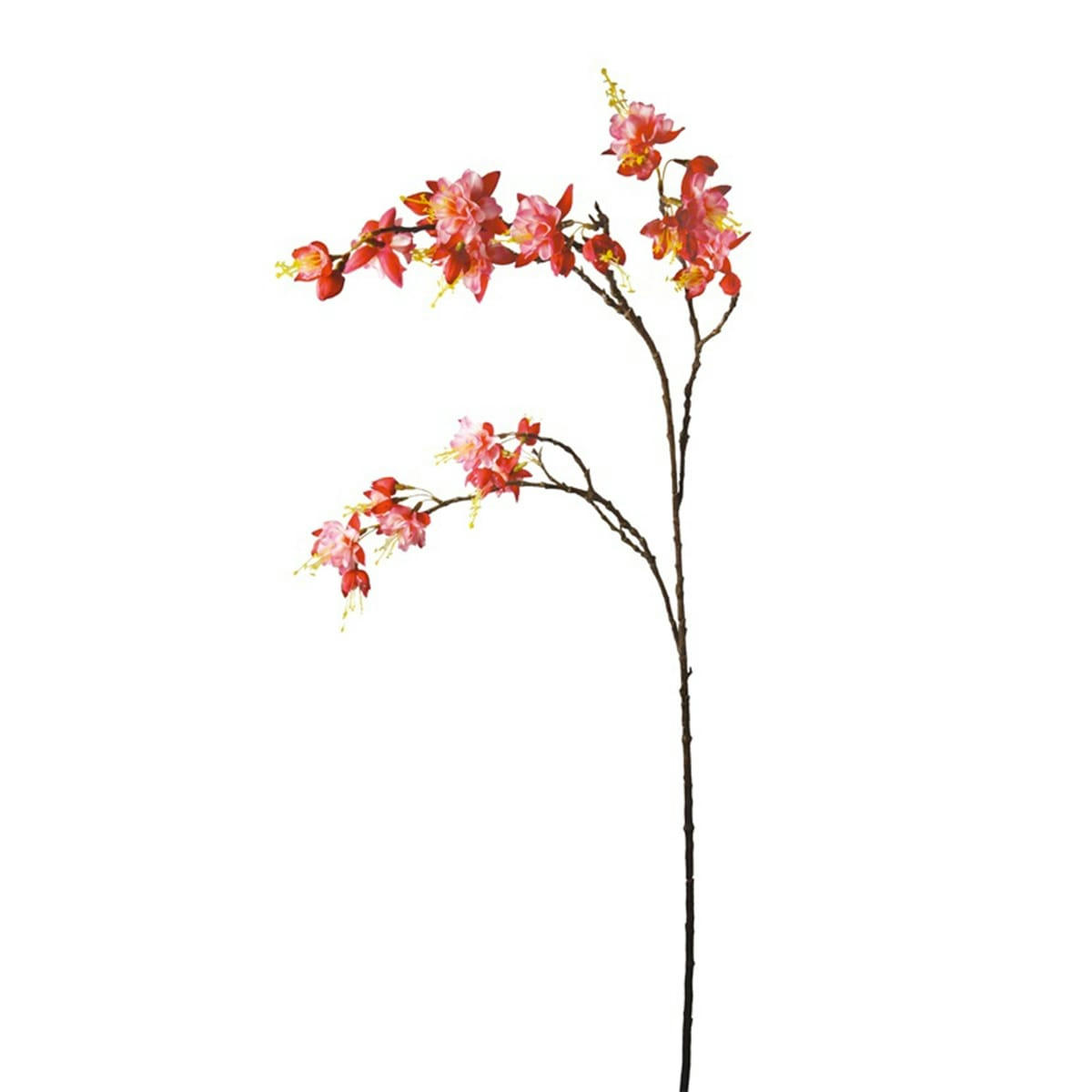 AMALIA - Tige de Fuchsia Amalia