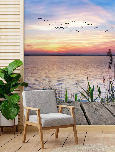 Feeby Fototapeta, Ptaki nad morzem 100x140