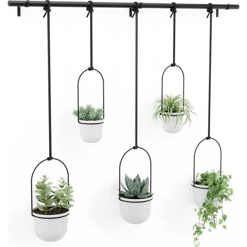 Blumenampel 5er-Set Triflora