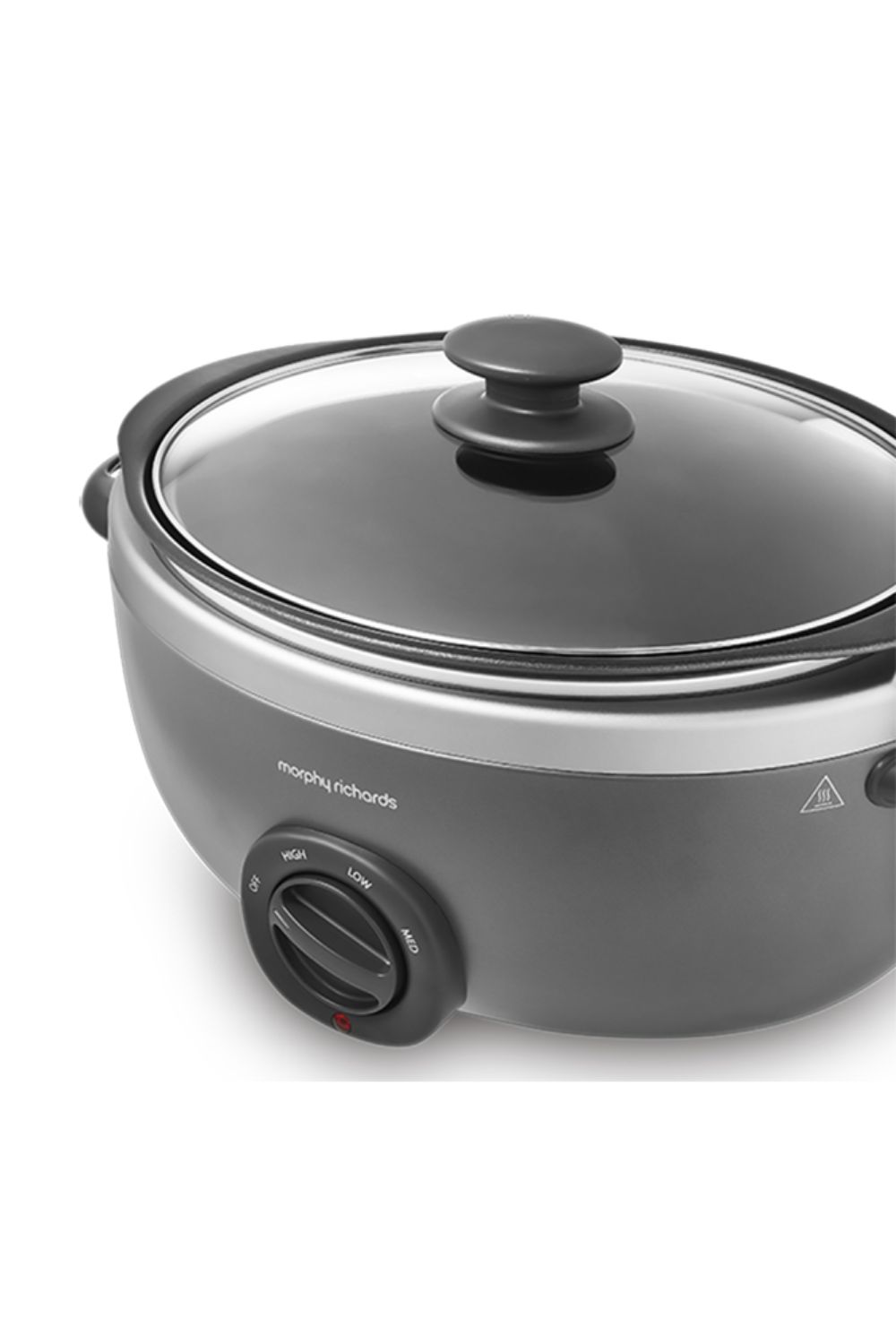 Morphy Richards Sear & Stew Oval 6.5L Slow Cooker