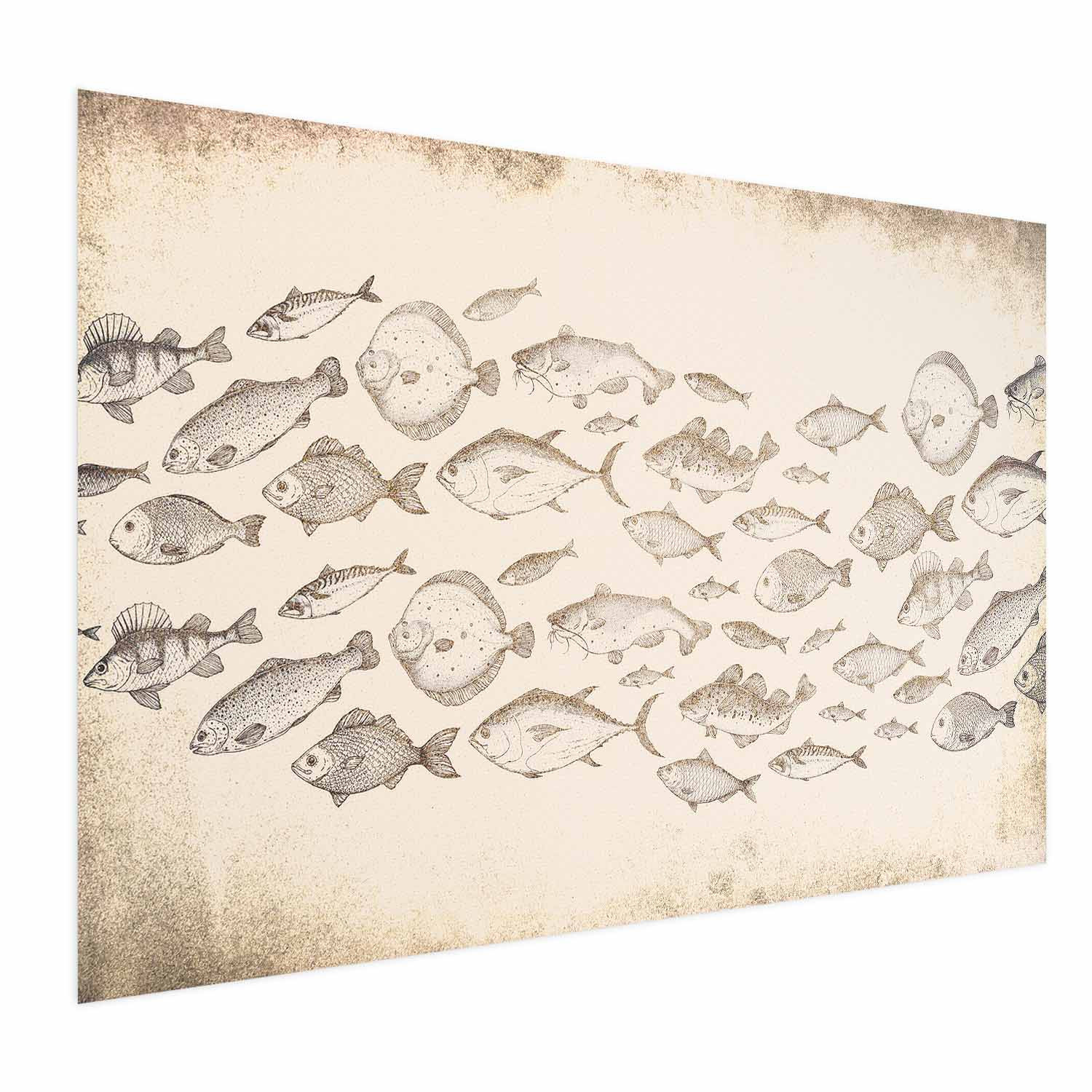 Plakat Subtelne rybki 60x40 cm