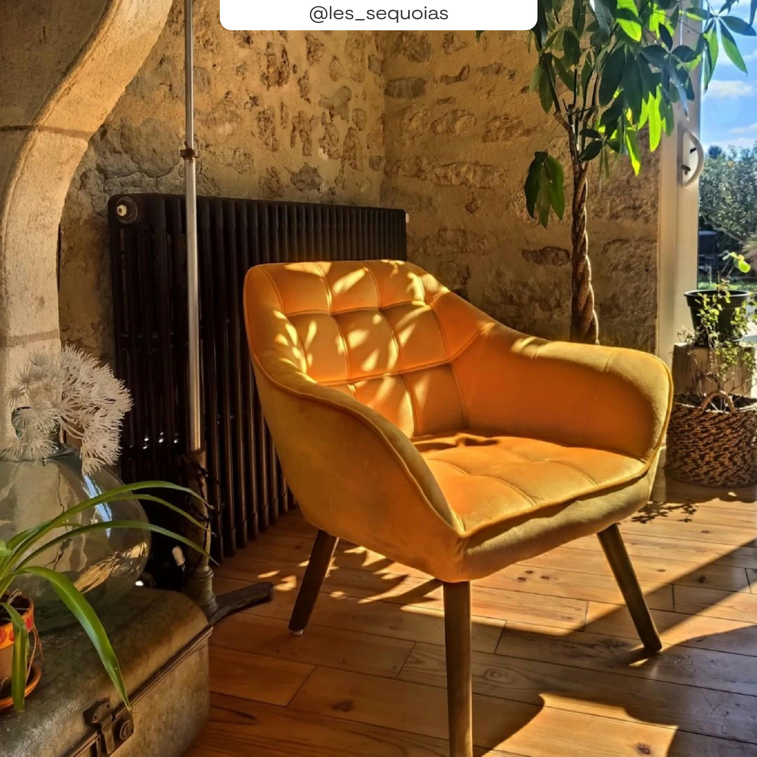 SIMBA - Fauteuil en velours jaune avec accoudoirs