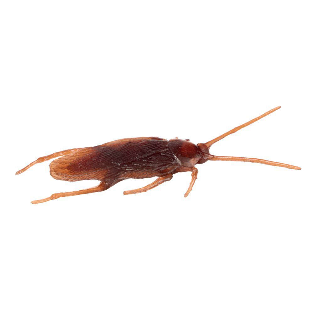 Insecte factice x12 farce et attrape plastique marron