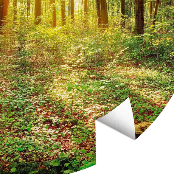 Vliestapete »Runde Vliestapete«, Tief Wald Natur Vintage Deko, mehrfarbig, matt