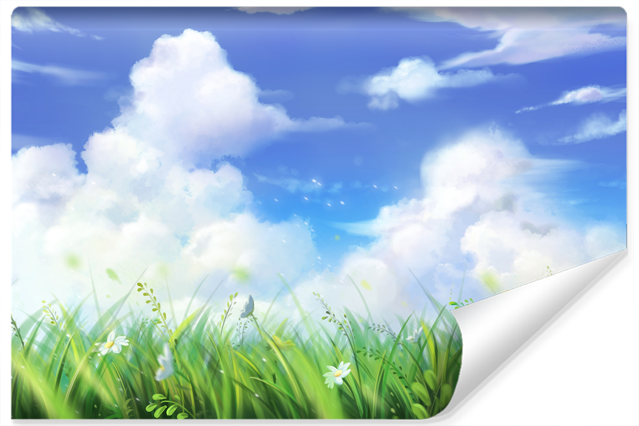 Fototapeta Widok ŁĄKA Rośliny Chmury 3D 90x60cm