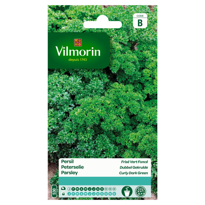 Semences de persil Frisé vert foncé VILMORIN