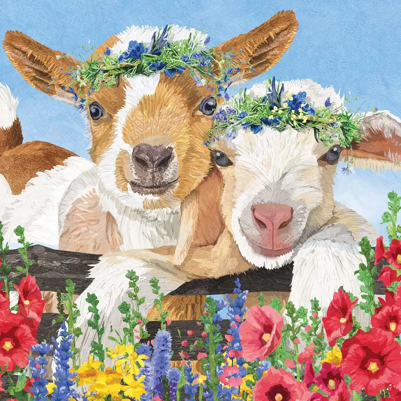 Serviette 20er-Set Gary & Gracie