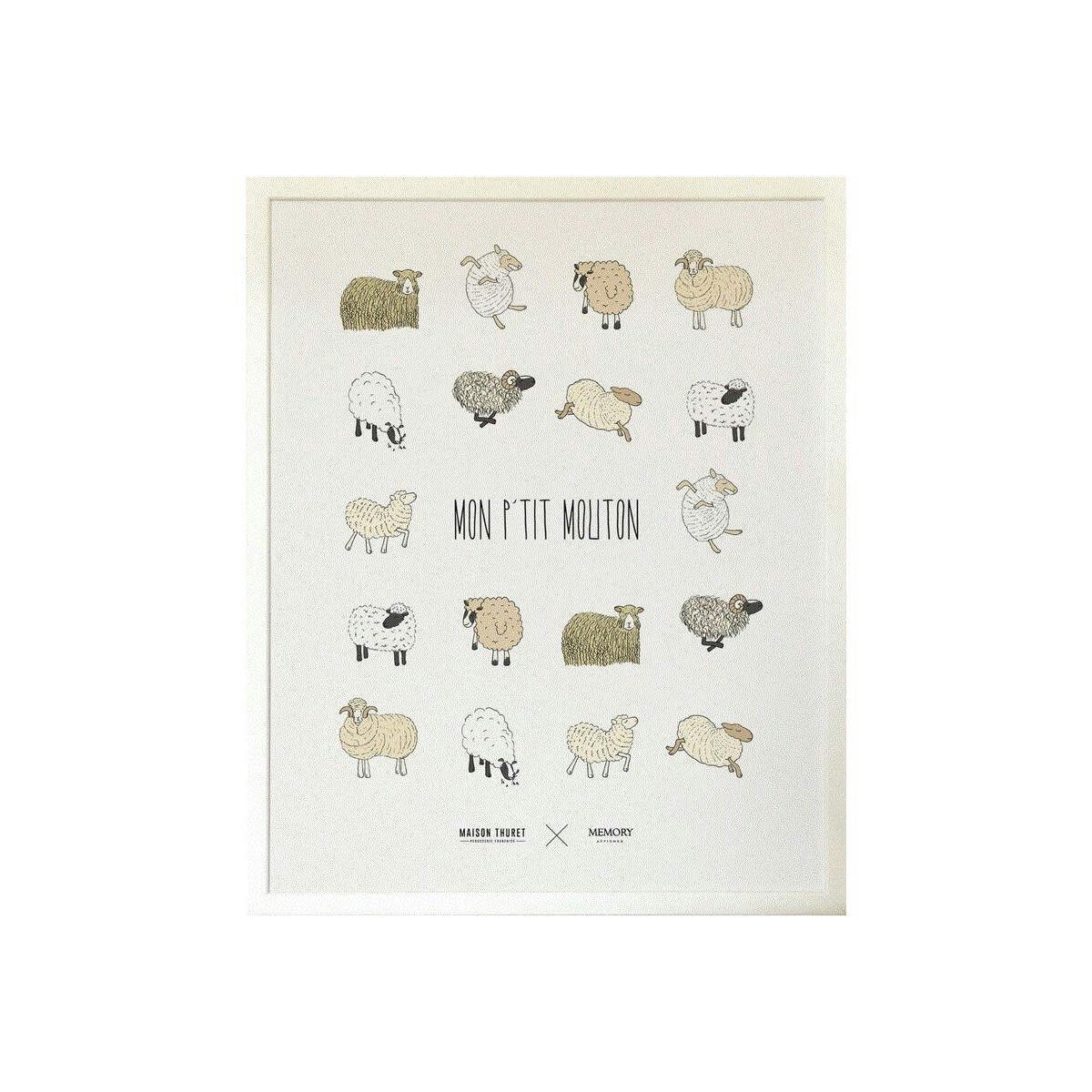 - Affiche mon p'tit mouton 40 x 50 cm