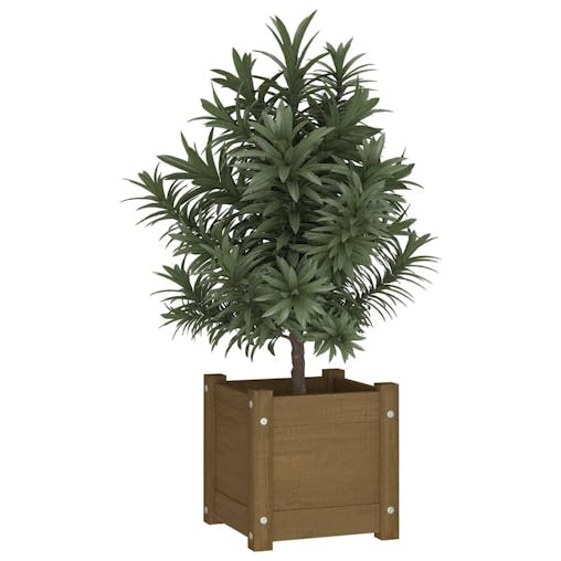 NNEVL Garden Planter Honey Brown 31x31x31 cm Solid Pinewood