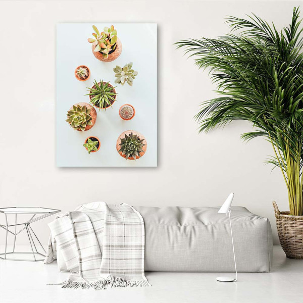 Feeby Obraz na płótnie Rośliny w doniczkach 40x60