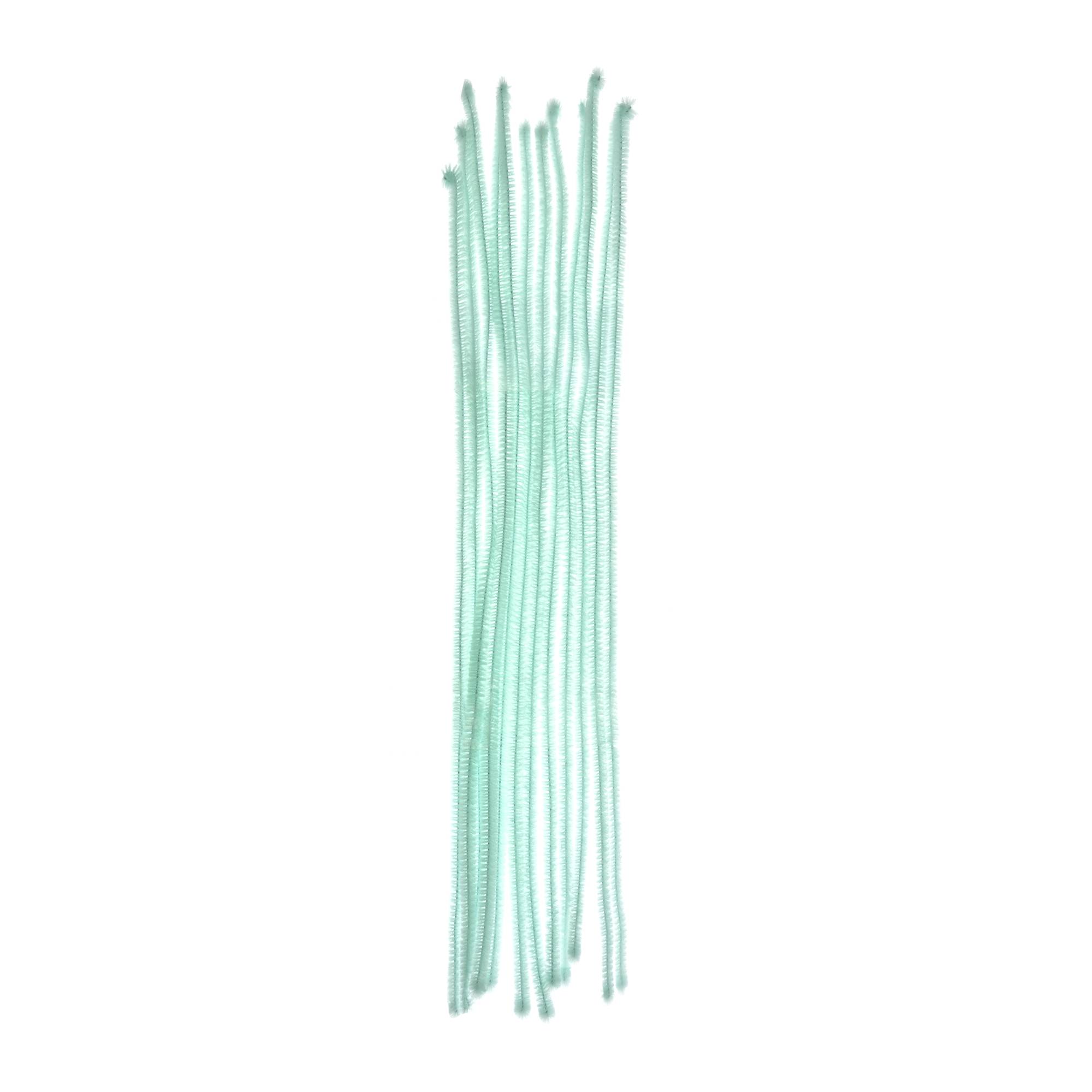 Mint Pipe Cleaners 12 Pack