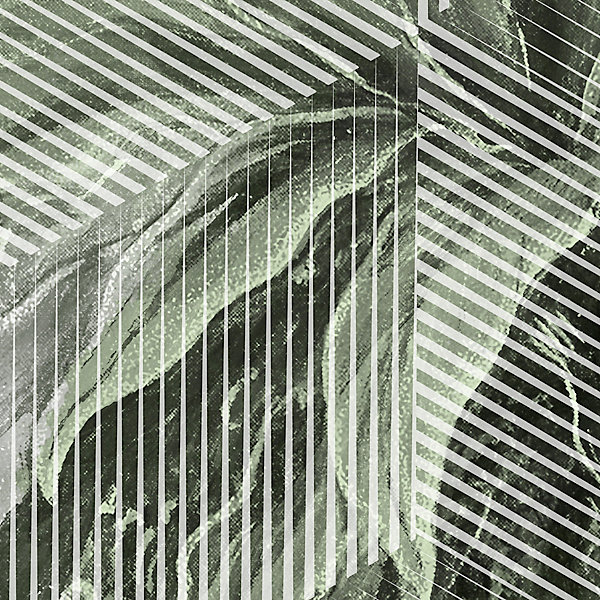 Papier peint panoramique Intissé GoodHome Tanan vert pâle 184 x 248 cm