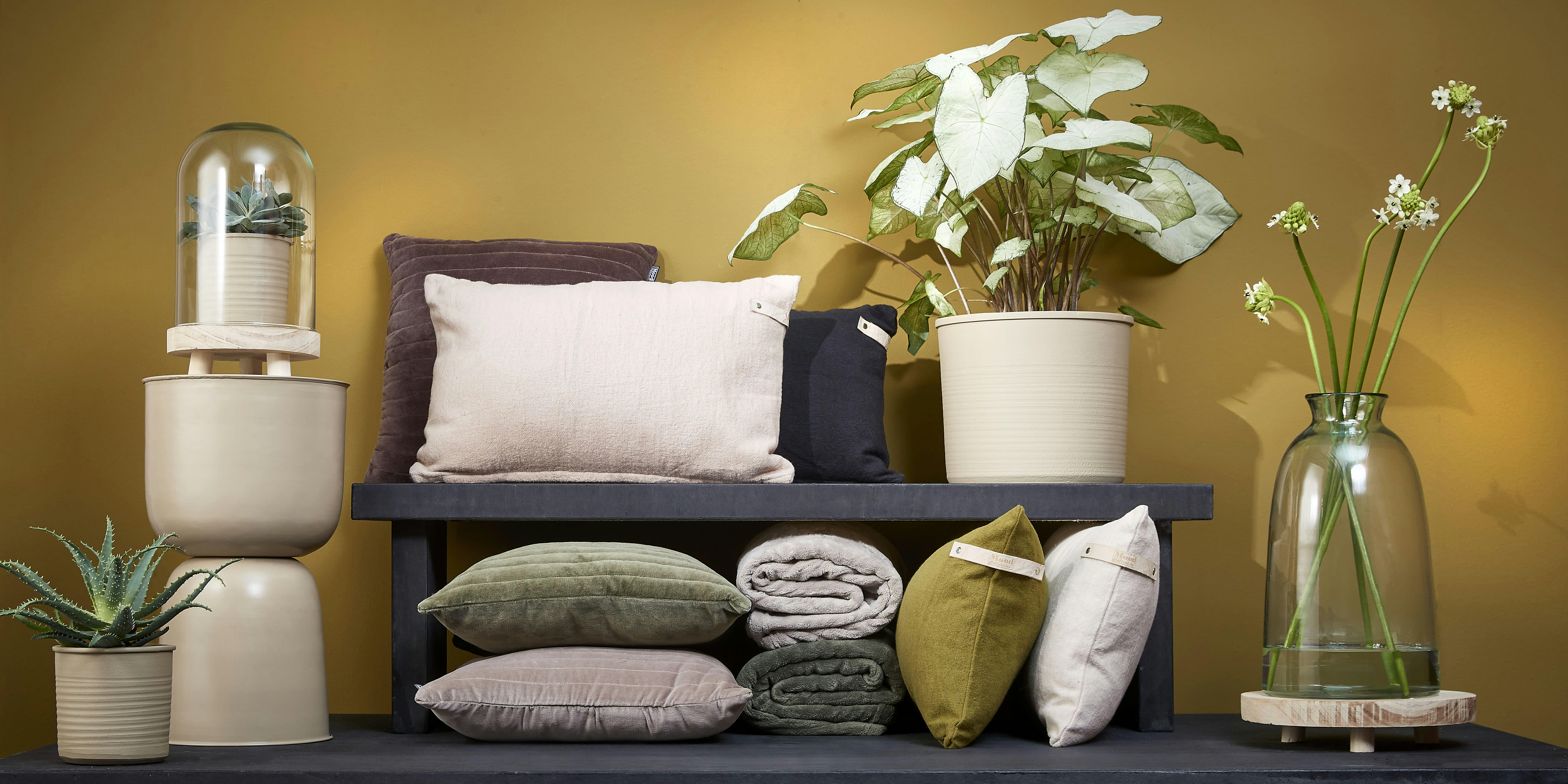 BERING - Coussin en coton noir 55x35