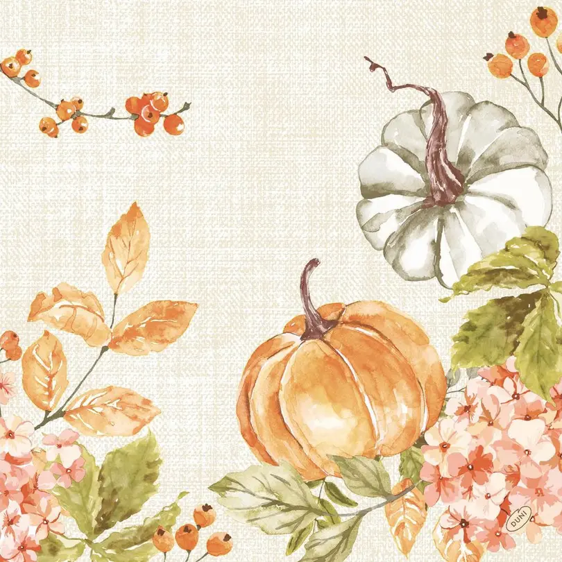 Serviette Spicy Pumpkin