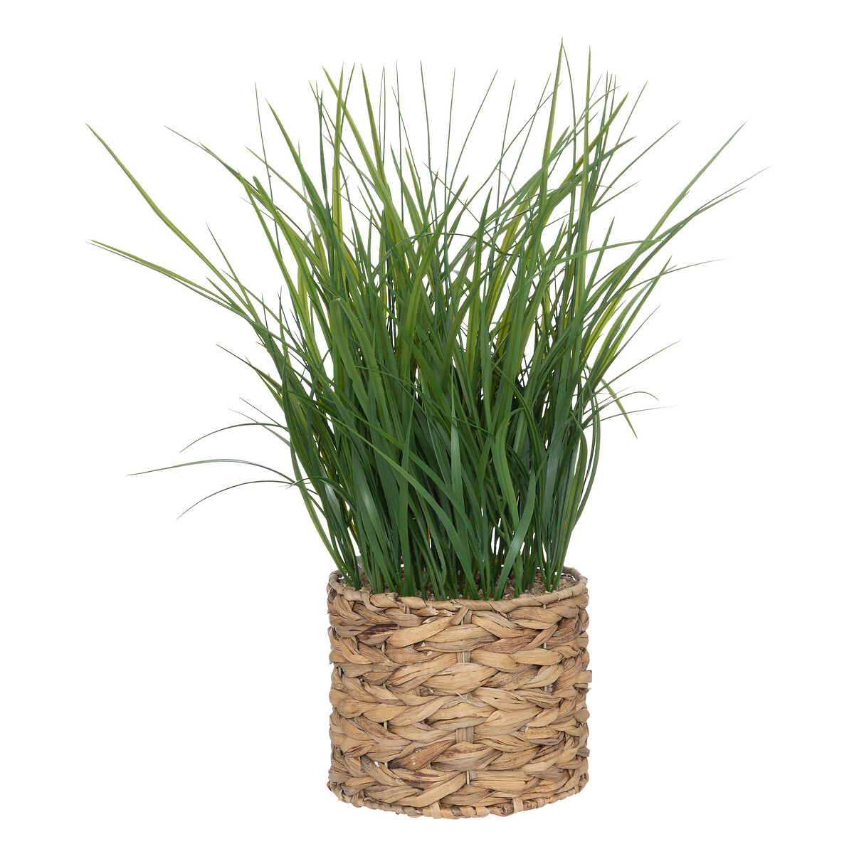 Artificial plant H.70 cm