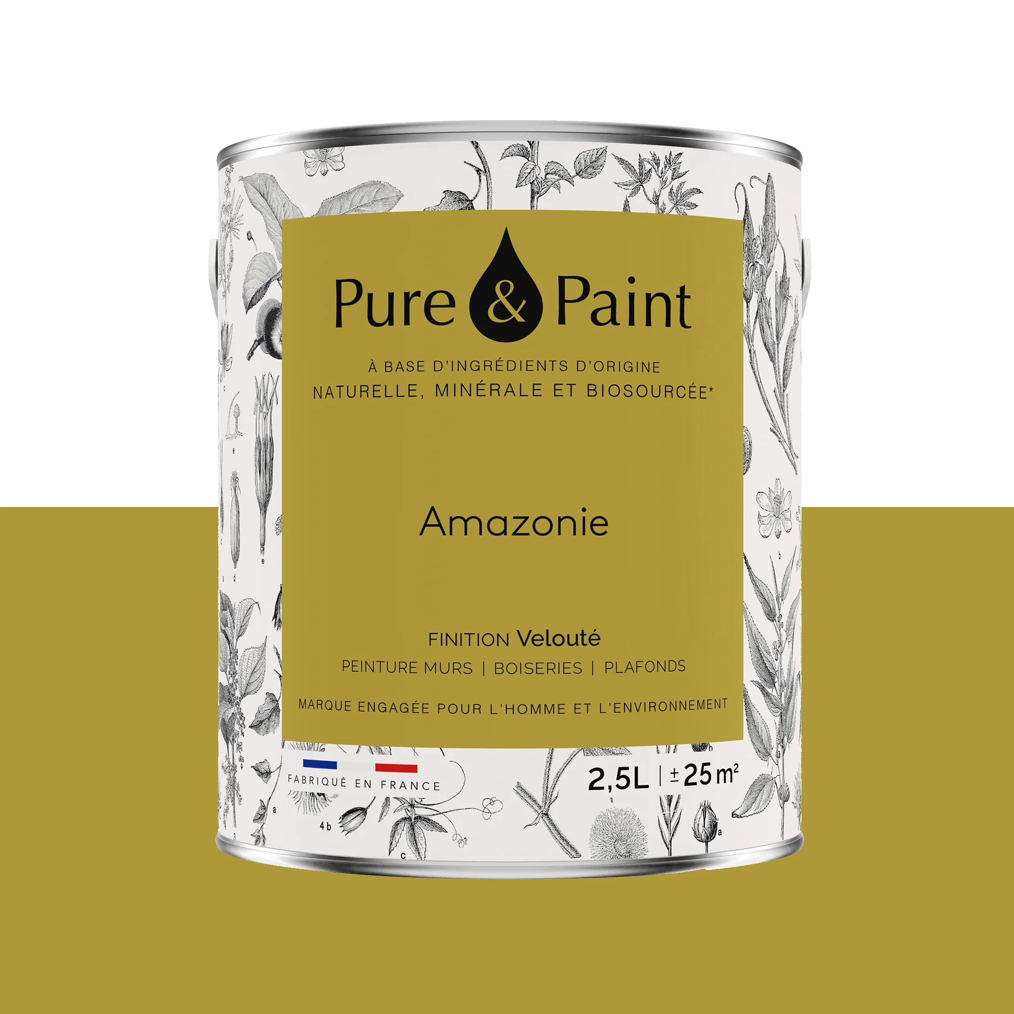 Pure and Paint Peinture Peinture Amazonie