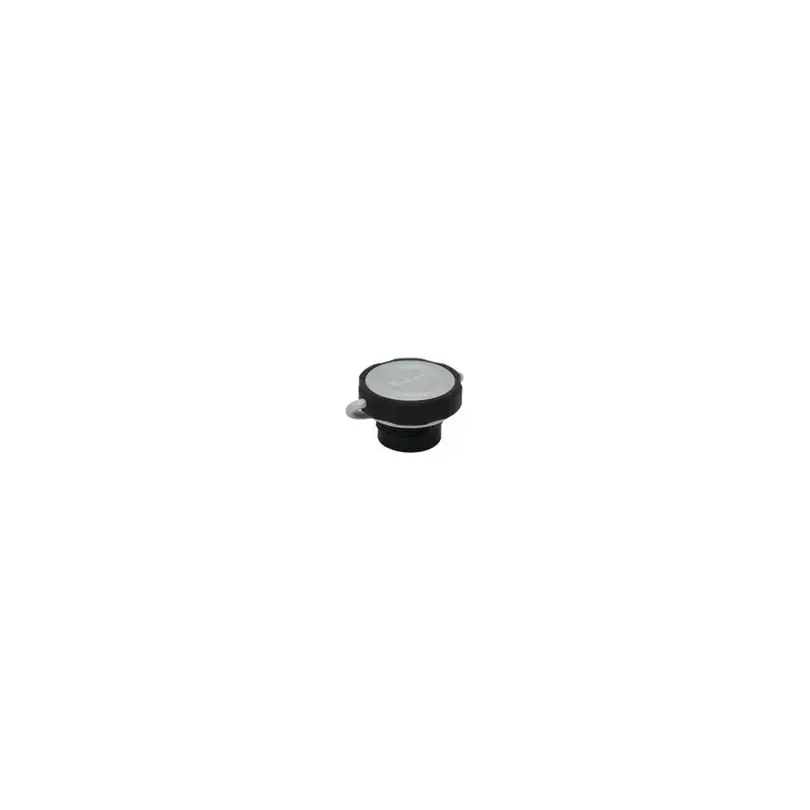 Flasche SIGG