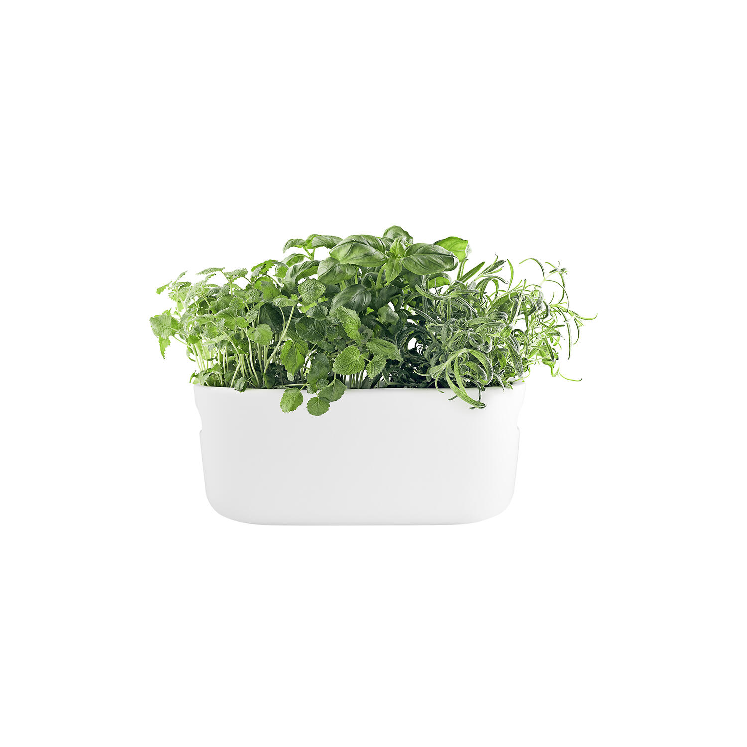 Nordic Kitchen selvvandende urteholder, hvid