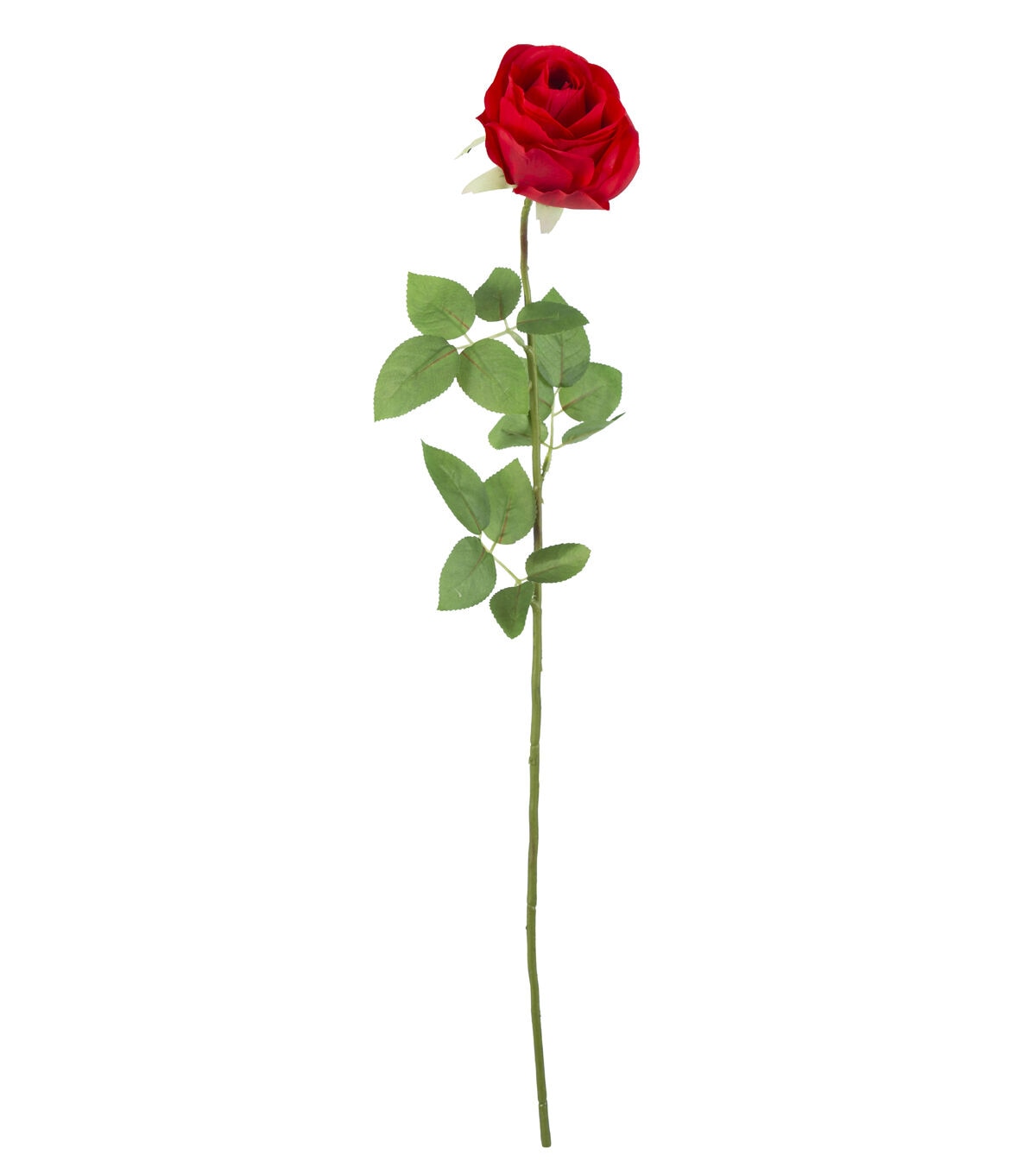 27 Red Confetti Rose Stem by Bloom Room