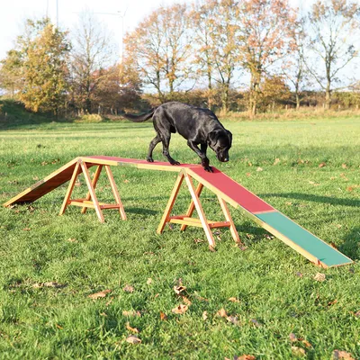 Trixie Dog Agility Bridge