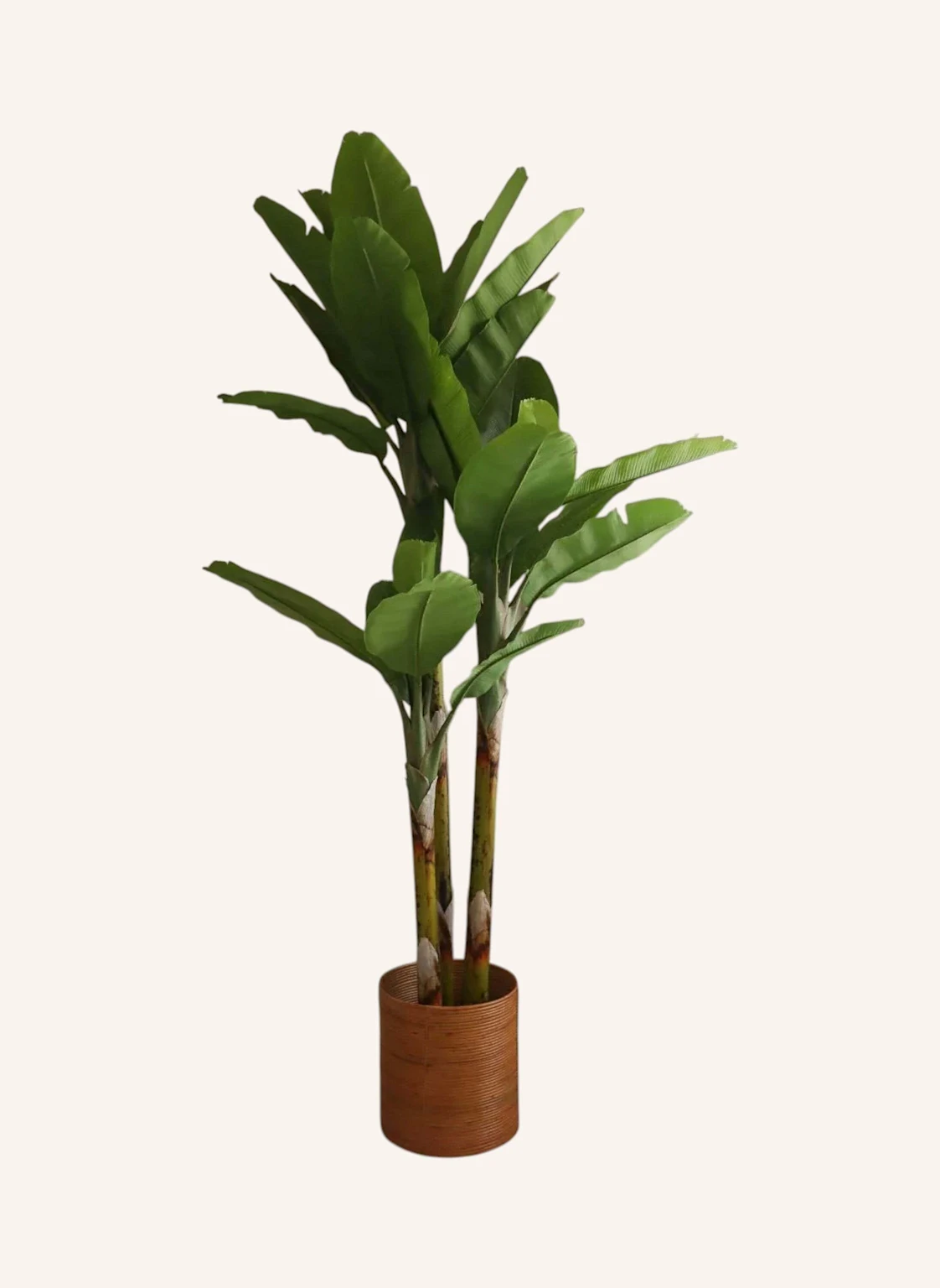 Botané Kunstbaum BANANA TREE