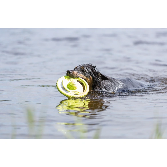 Hundespielzeug, Ø20 cm, schwimmt/floatable, TPR, lime