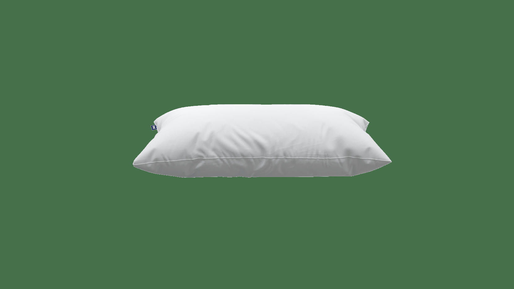 CUSCINO MICROFIBRA - Oreiller microfibre Emma Nuage 50x70