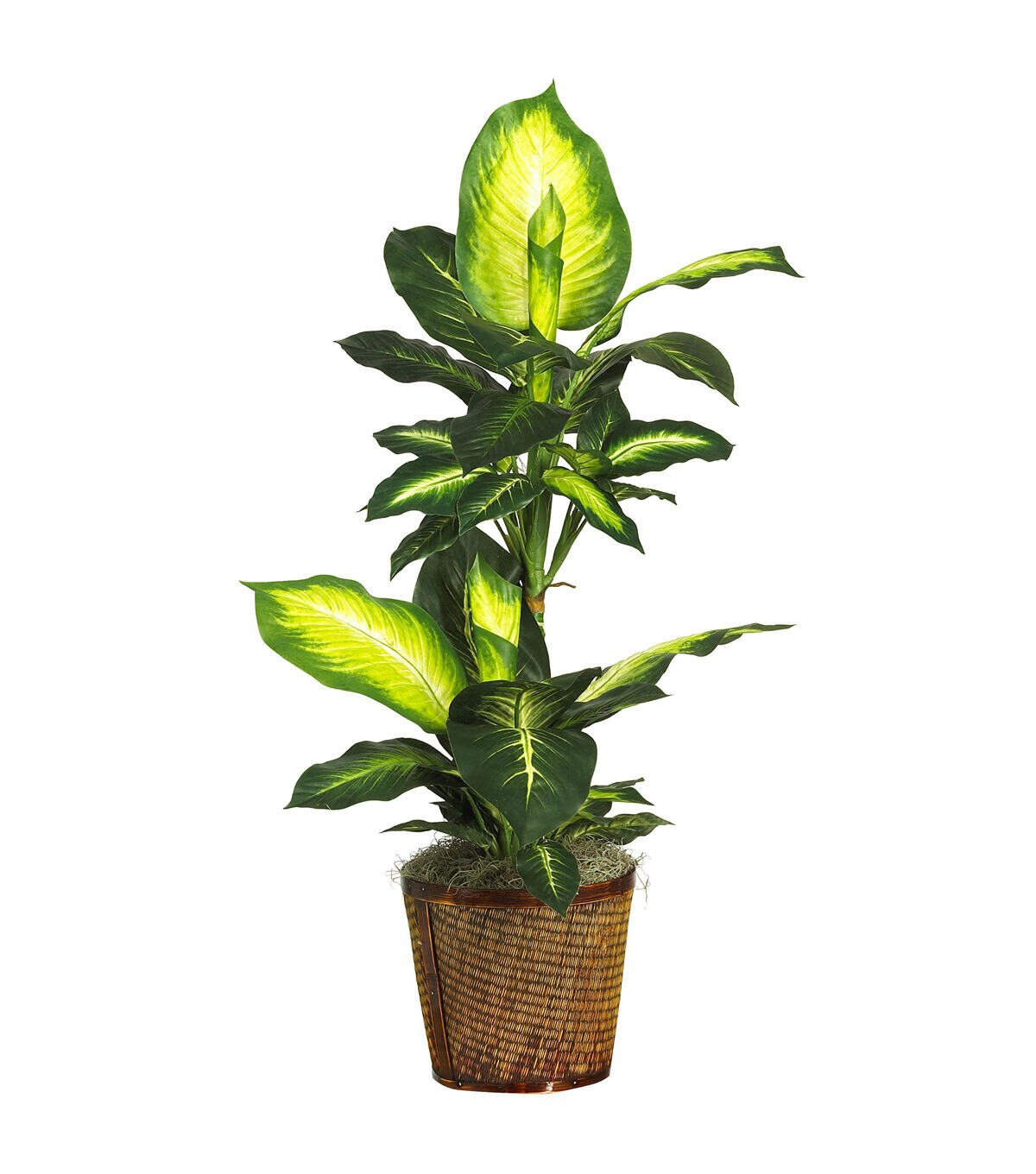 Nearly Natural 42�� Golden Dieffenbachia with Basket Silk Plant