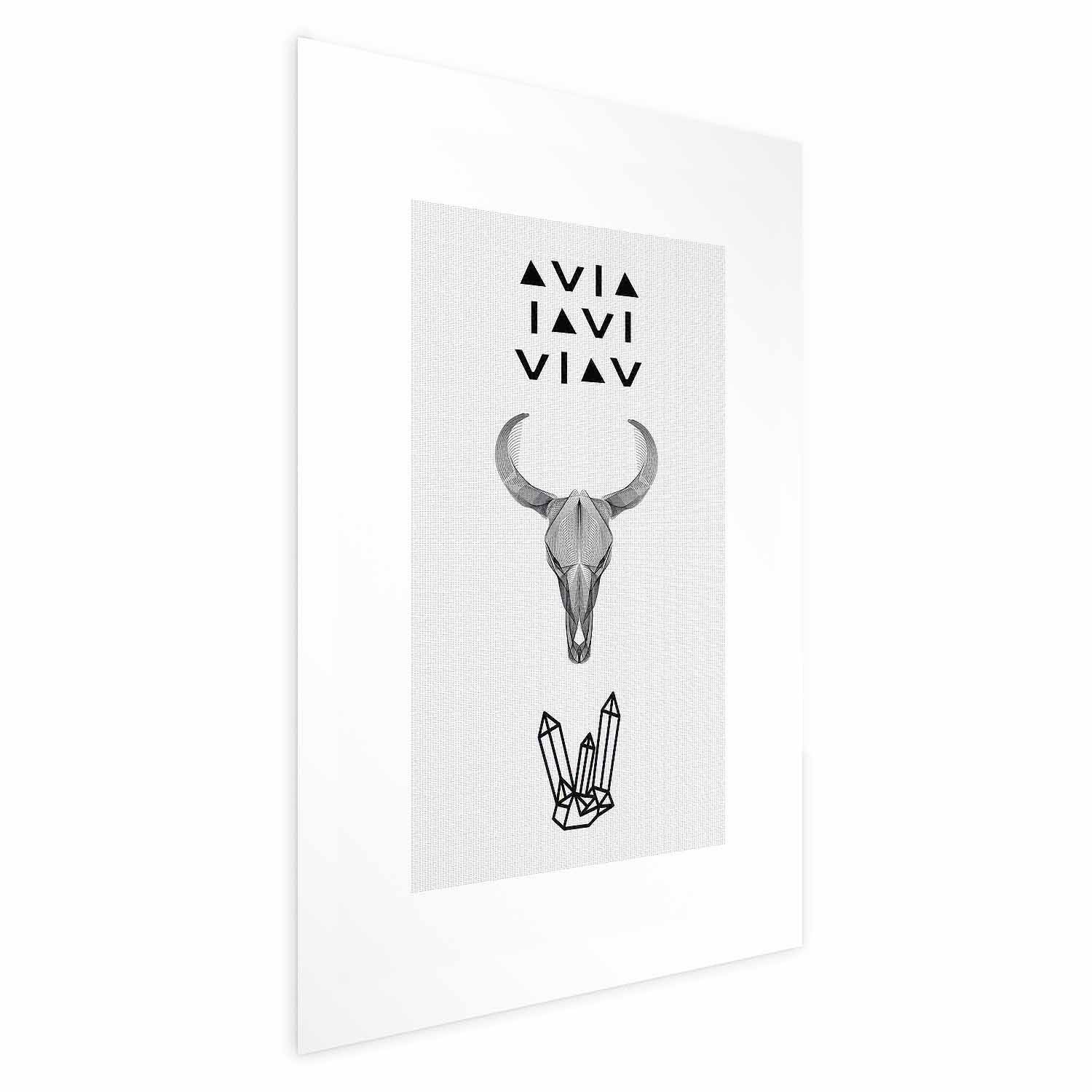 Plakat Zwierzęca czaszka 21x30 cm